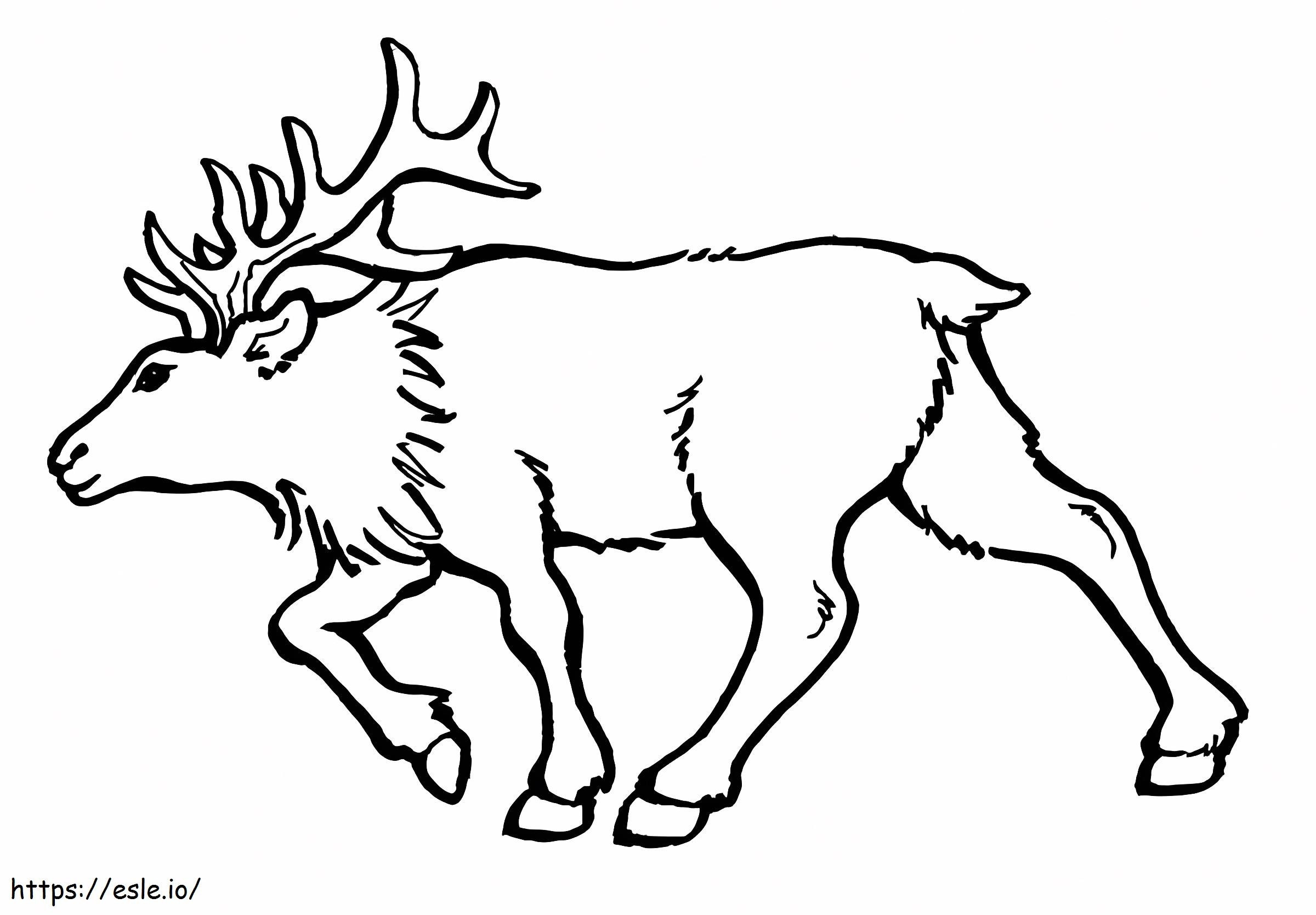 Bull Elk coloring page