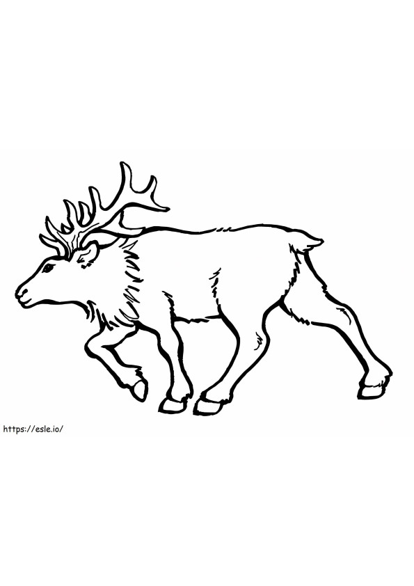 Bull Elk coloring page