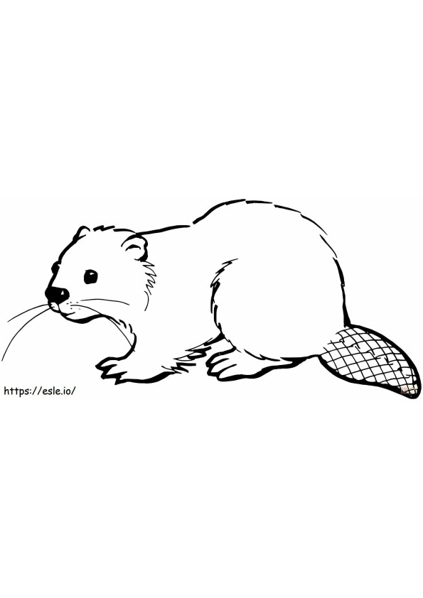 Basic Beaver coloring page