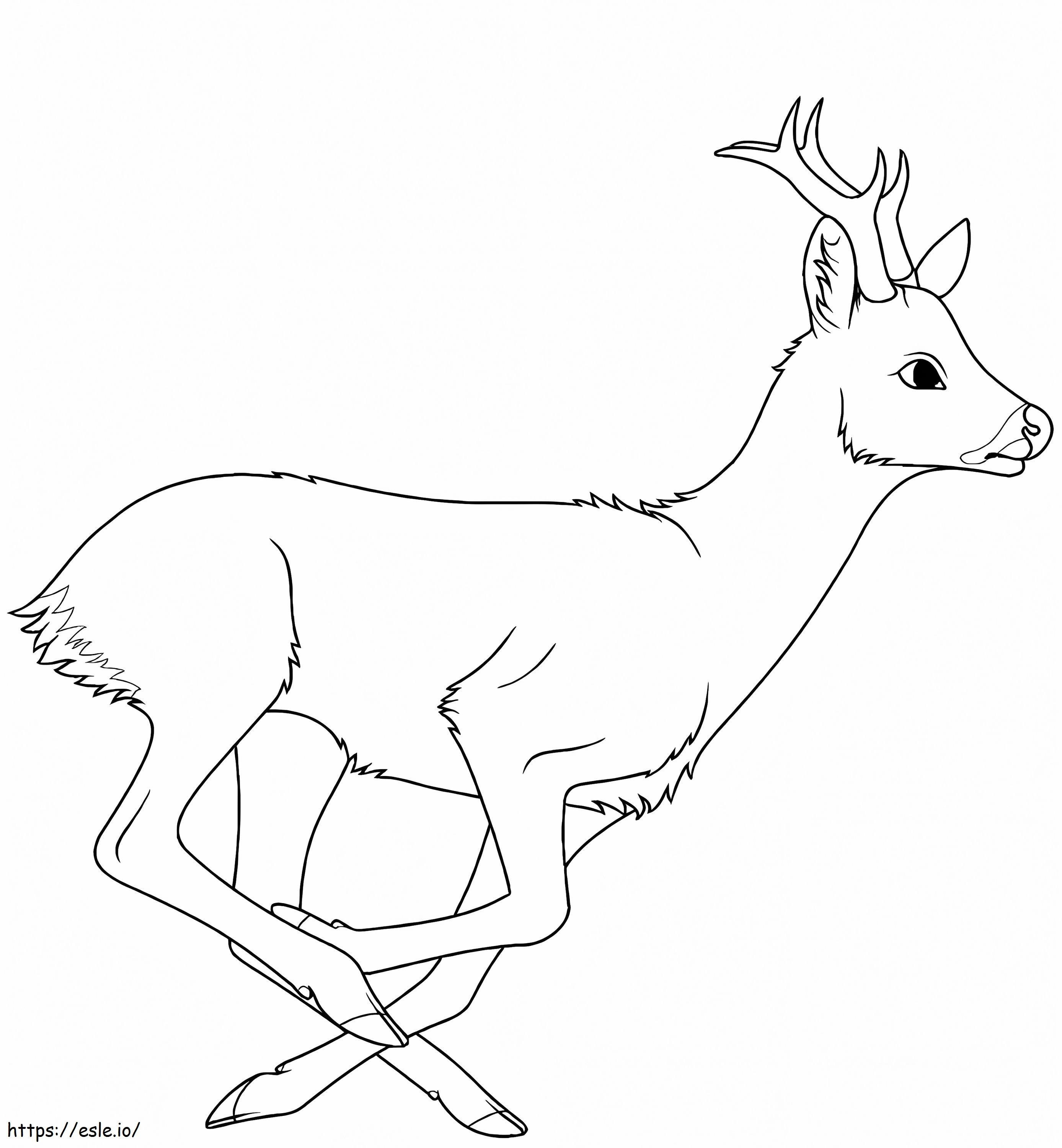 Deer Is Running coloring page
