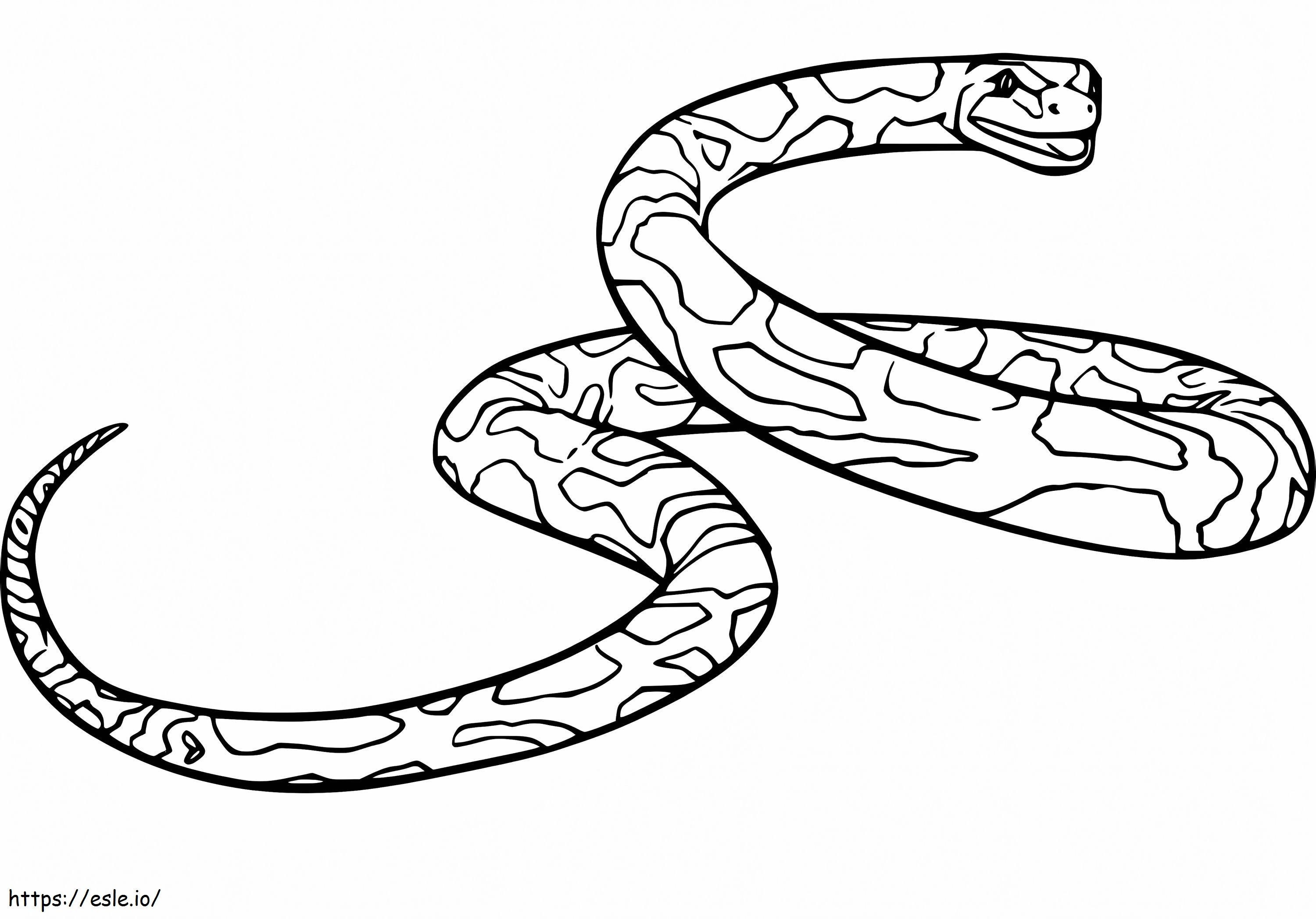 Normale Anaconda kleurplaat kleurplaat