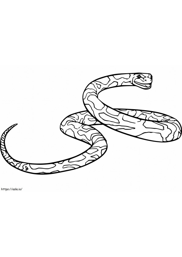 Anaconda normal para colorir