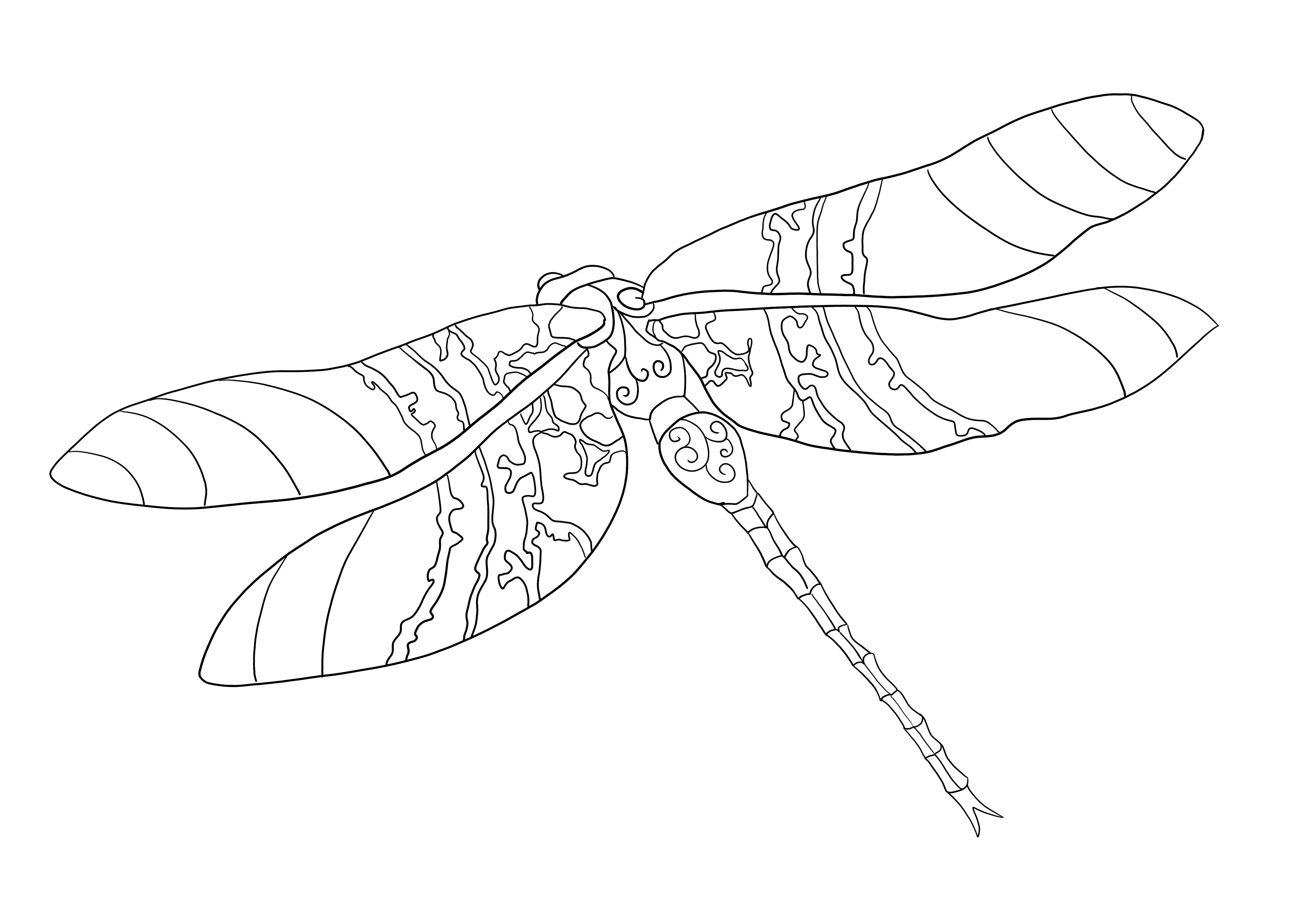 Dragonfly free printing and coloring image