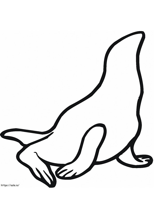 Deniz Aslanı Anahat boyama