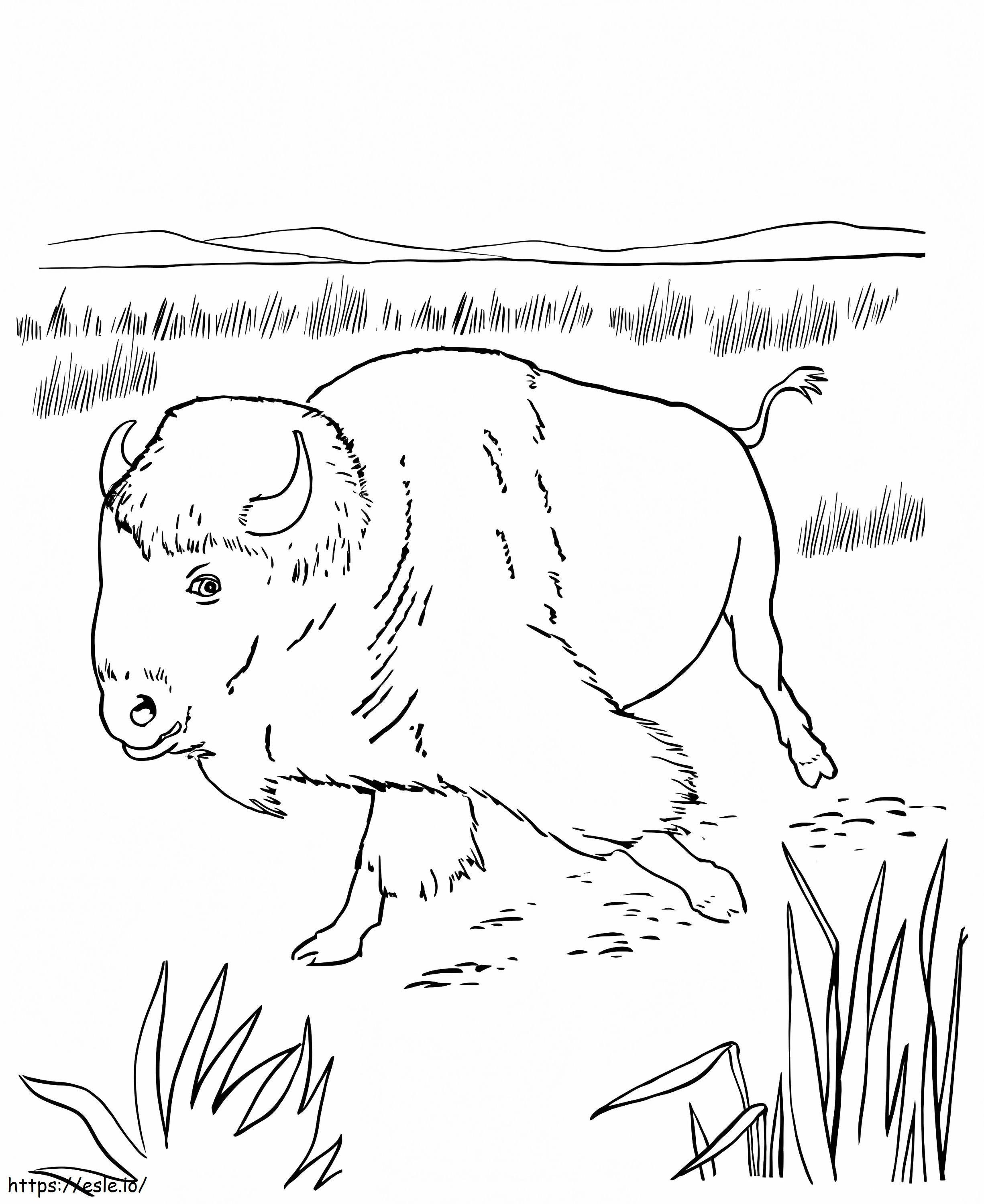 Piccolo Bufalo che cammina da colorare