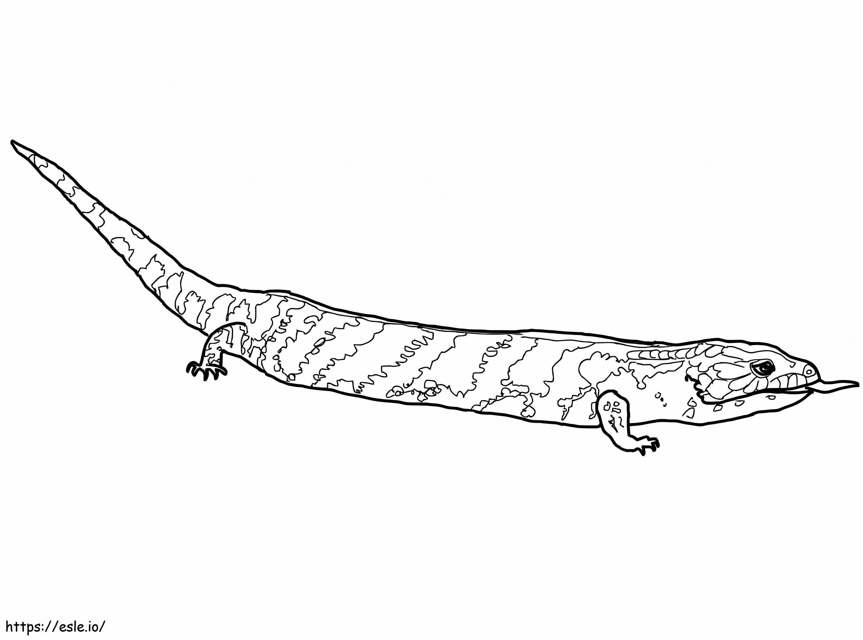 Blue Tongued Skink 1 coloring page