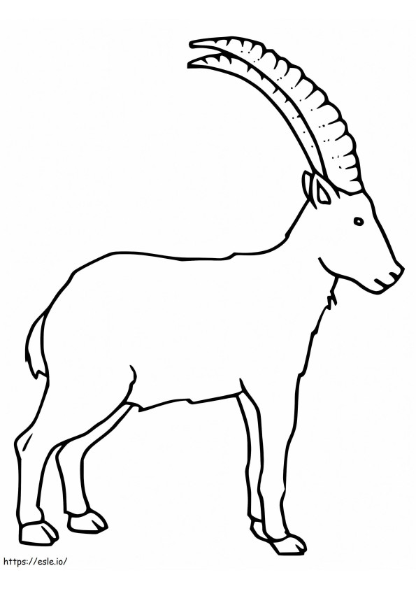 Male Ibex coloring page