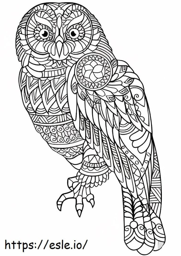 Zentangle Owl coloring page