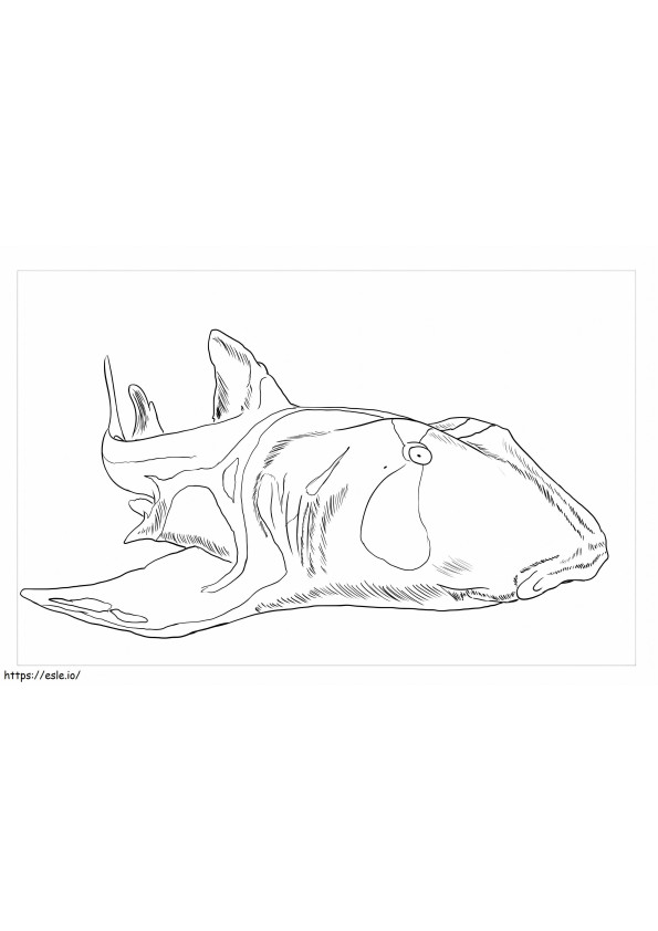 Tiburón Puerto Jackson para colorir