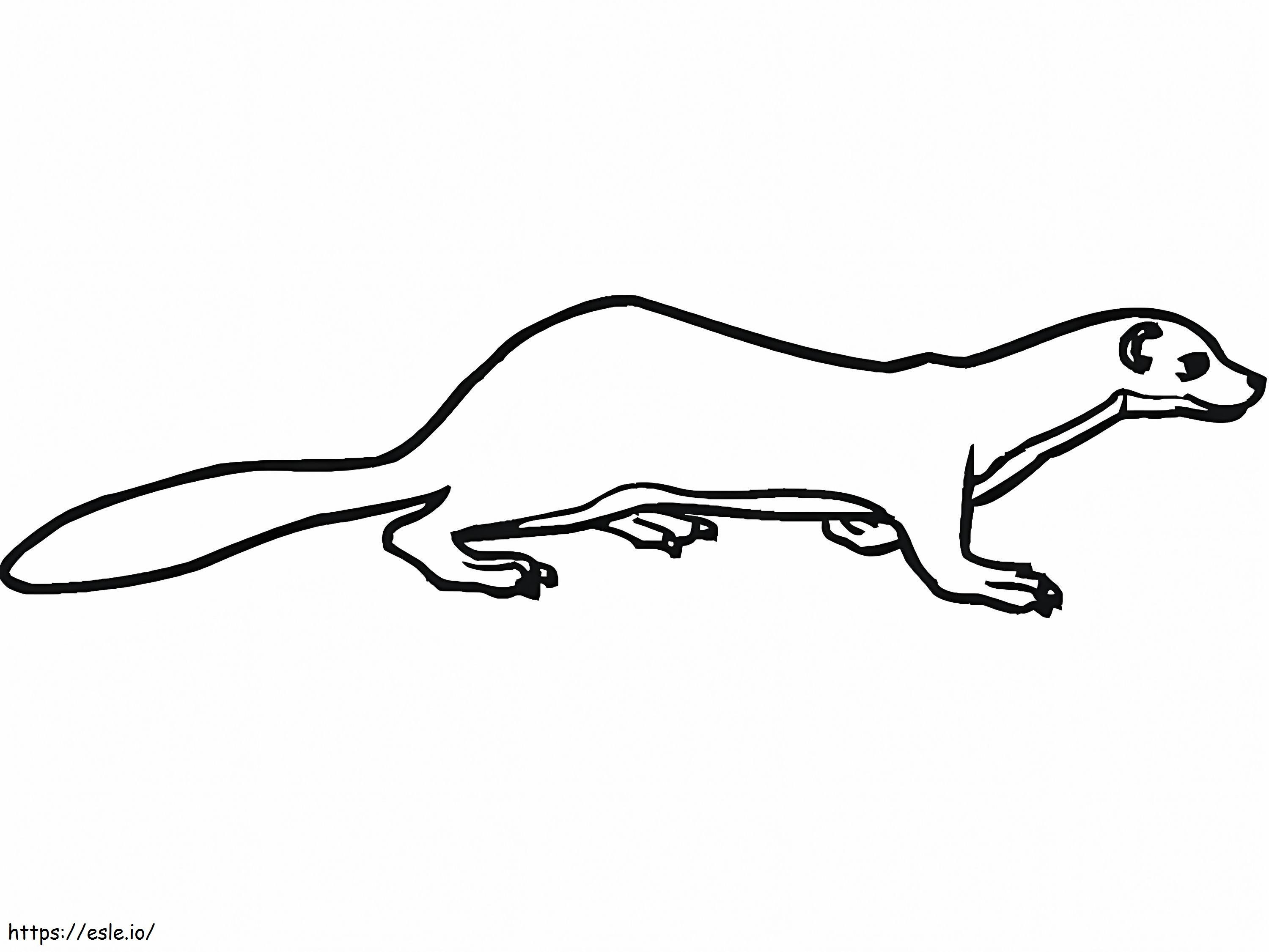 Printable Weasel coloring page