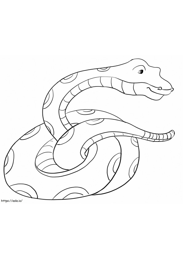 Funny Anaconda