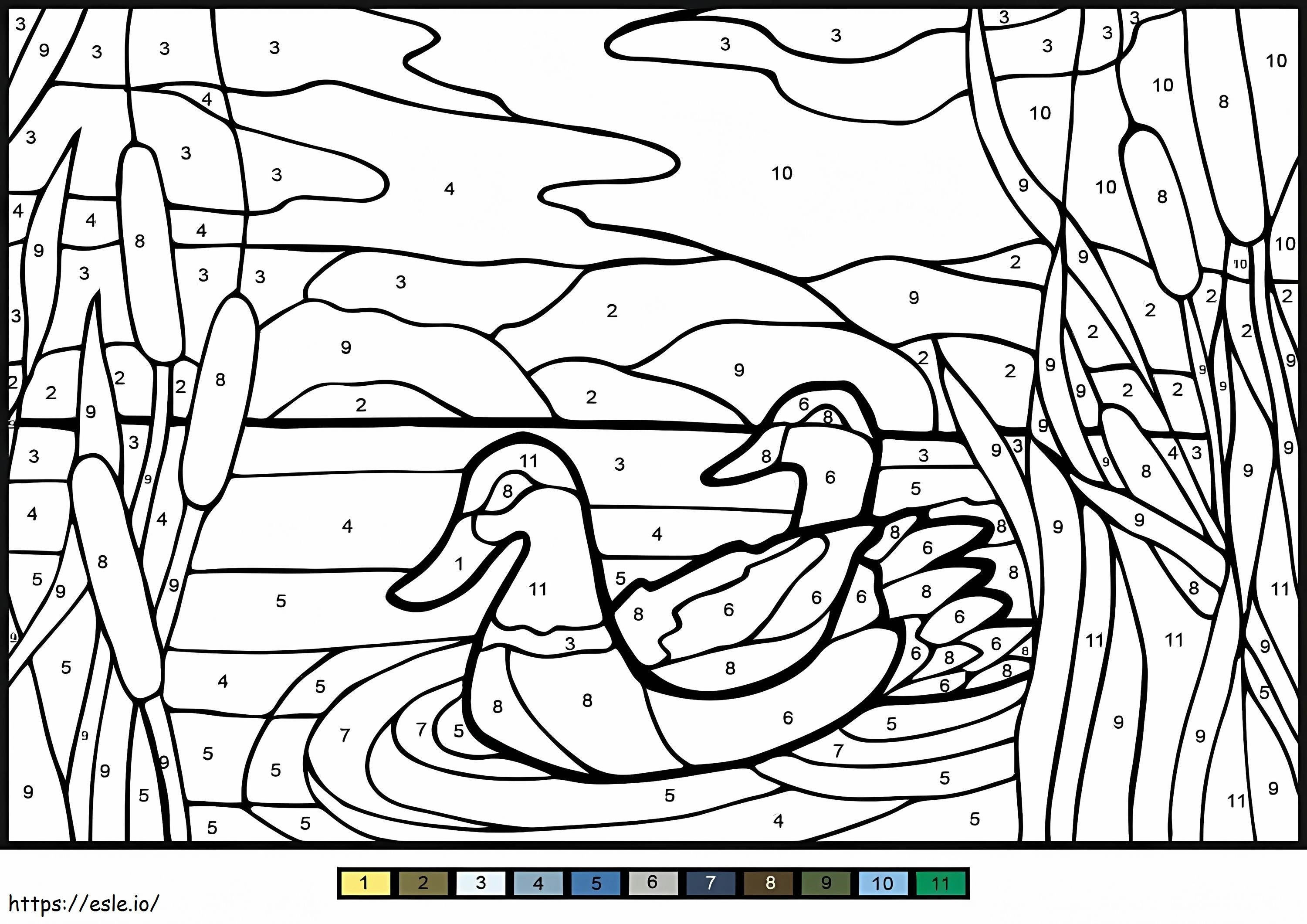 Coloriage Couleur des canards Mullard par numéro à imprimer dessin
