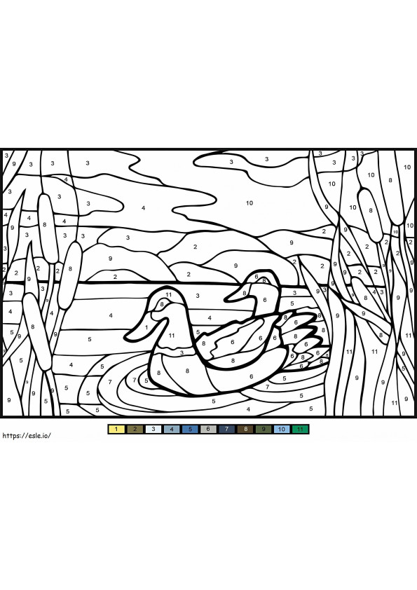 Kolor kaczek Mullard według liczby kolorowanka