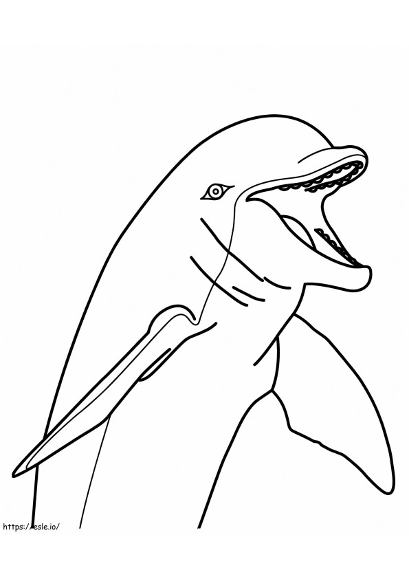 Coloriage Visage de dauphin à imprimer dessin