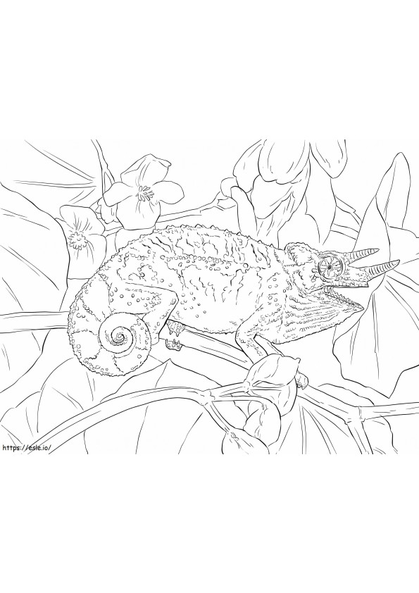 Jackson'S Chameleon coloring page