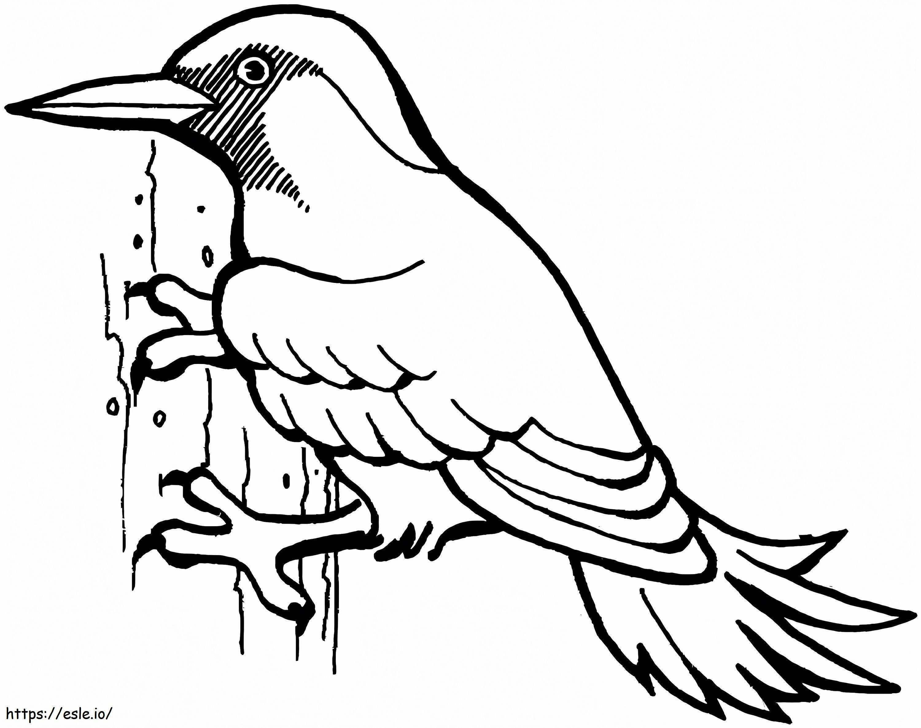 Woodpecker Printable coloring page