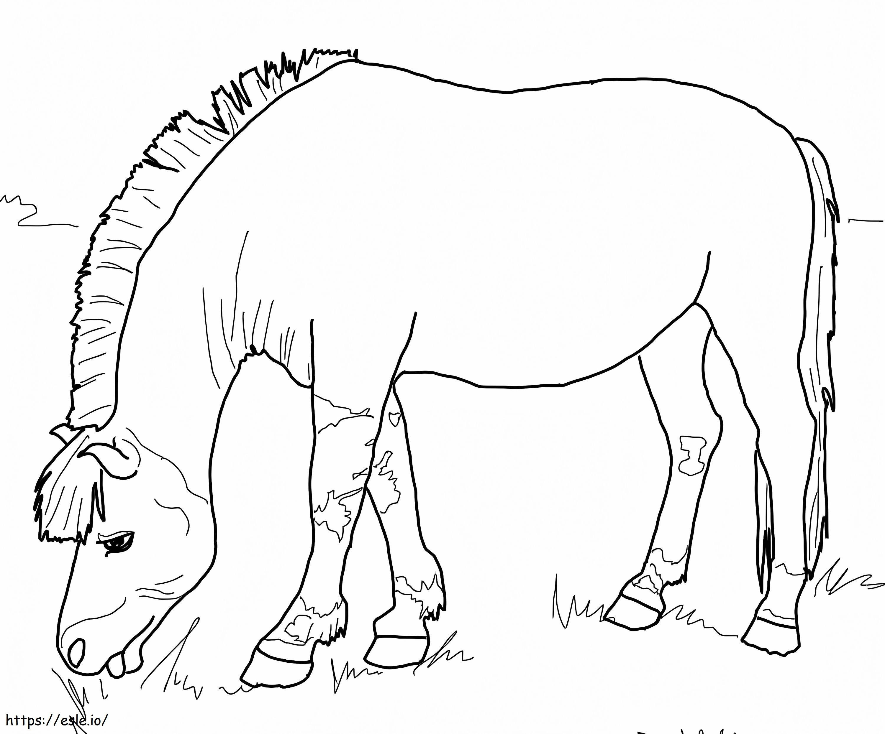 Norwegian Fjord Horse coloring page
