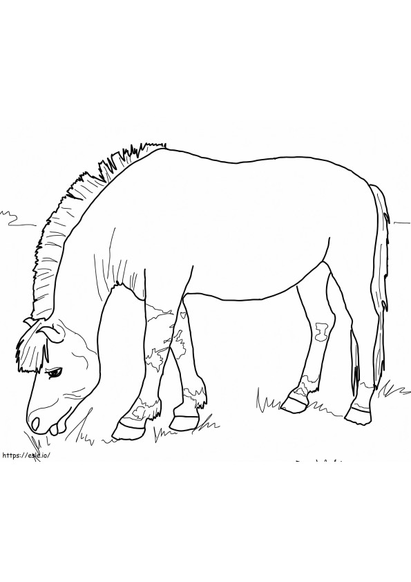 Norwegian Fjord Horse coloring page