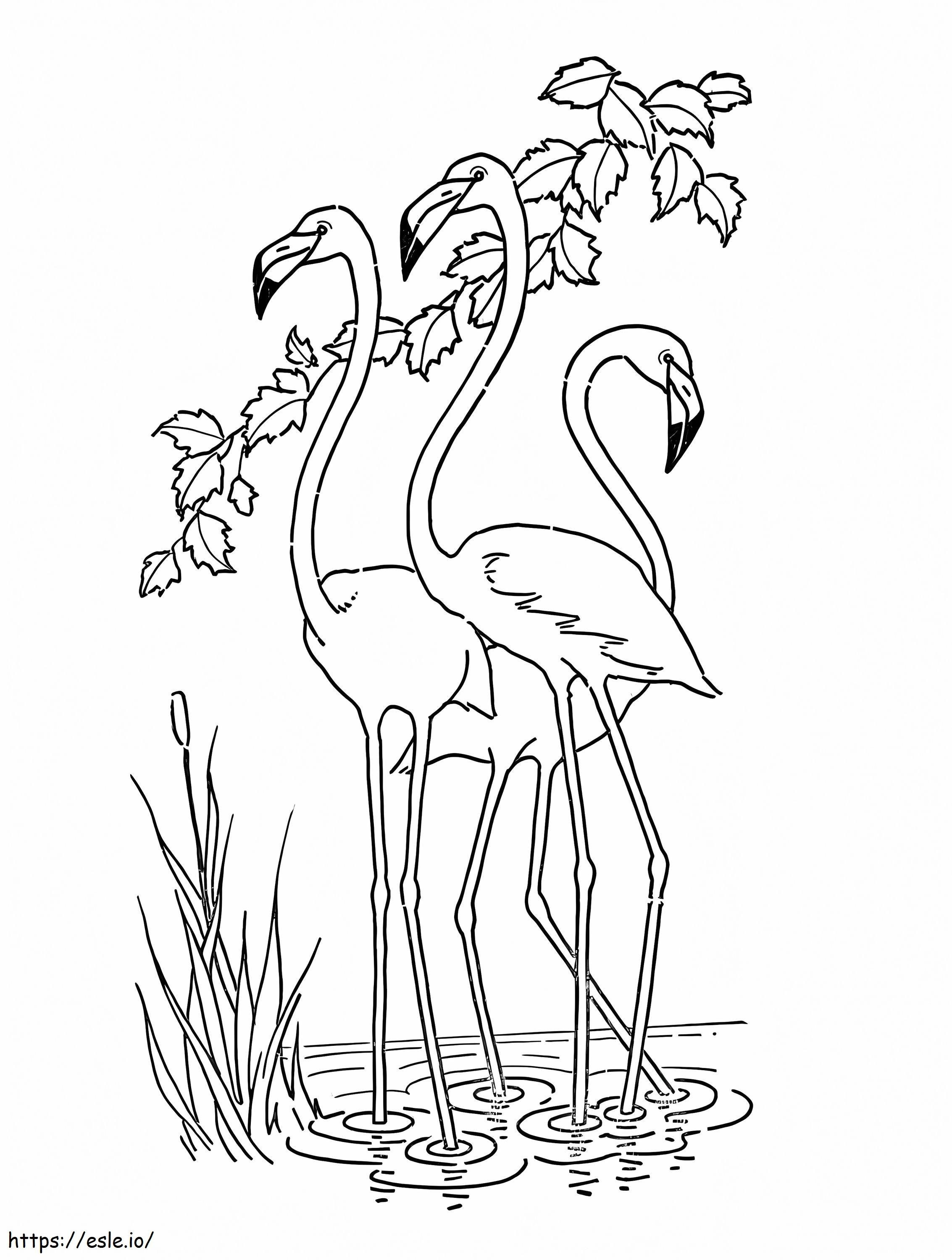 Um bando de flamingos para colorir