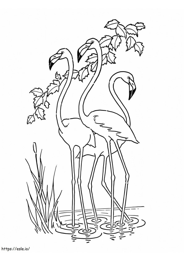 Um bando de flamingos para colorir