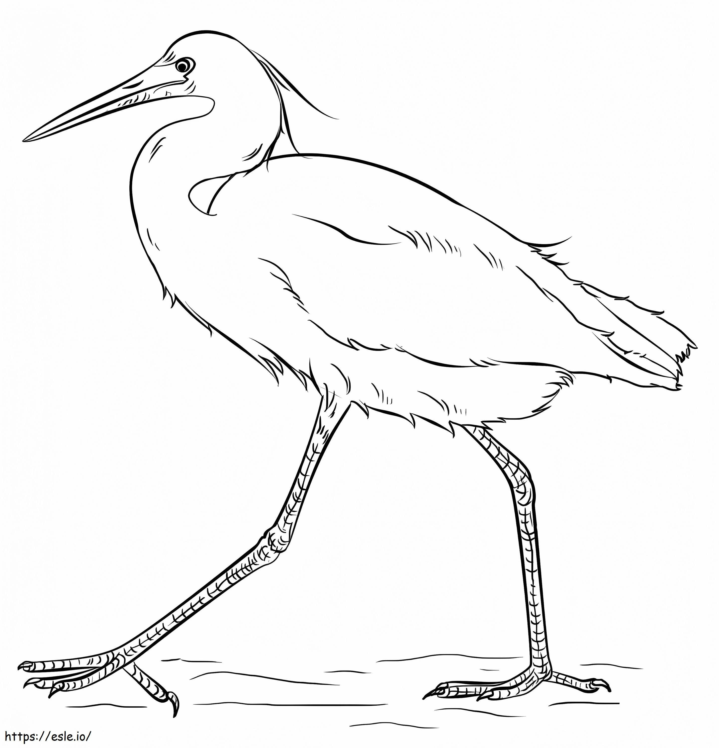 Snowy Egret 1 coloring page