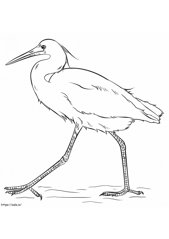 Snowy Egret 1 coloring page