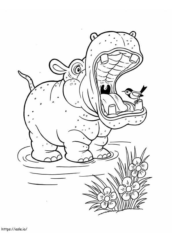 Coloriage Oiseau perché dans la bouche de l'hippopotame à imprimer dessin