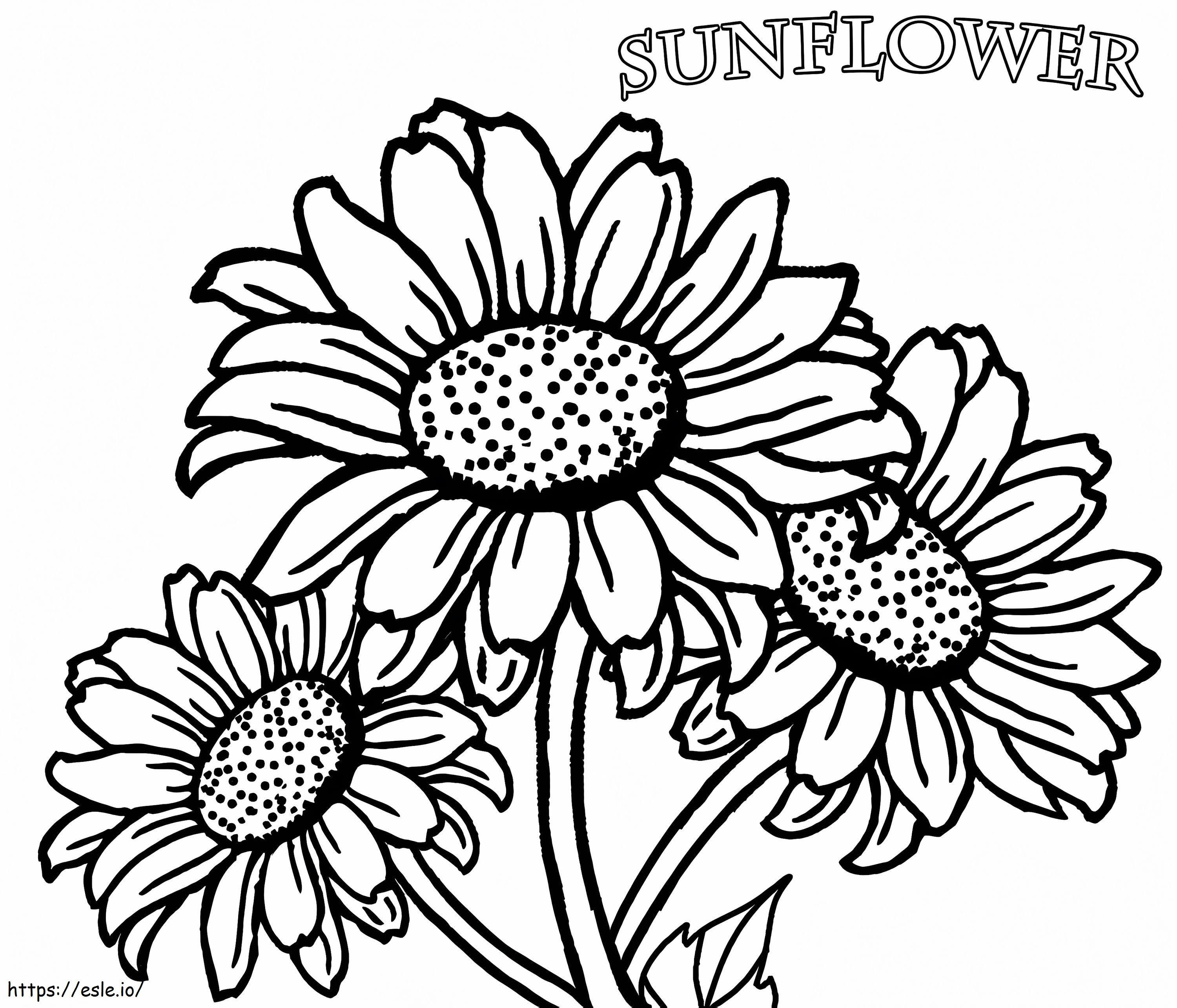 Realistic Sunflowers coloring page