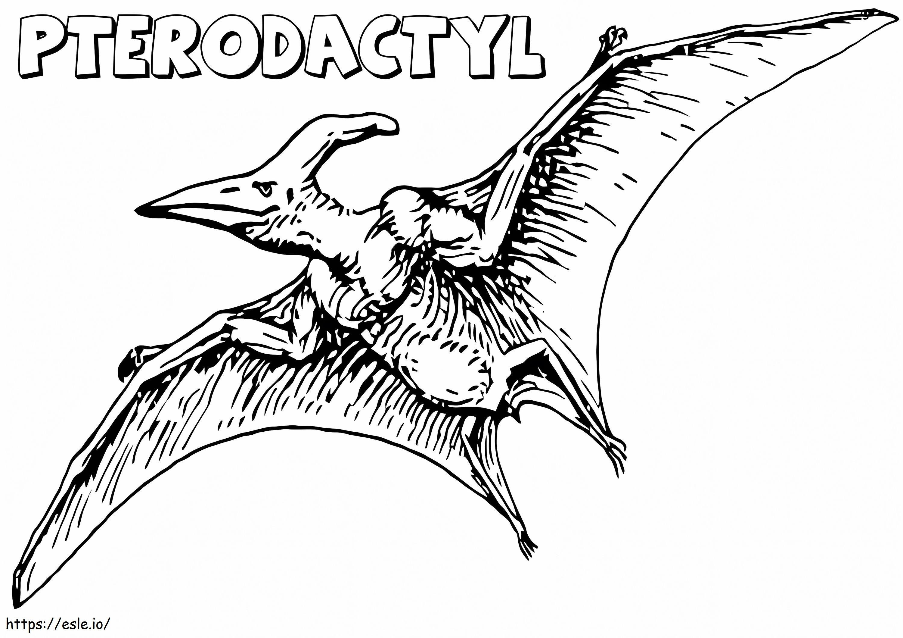 Realistischer Pterodaktylus ausmalbilder