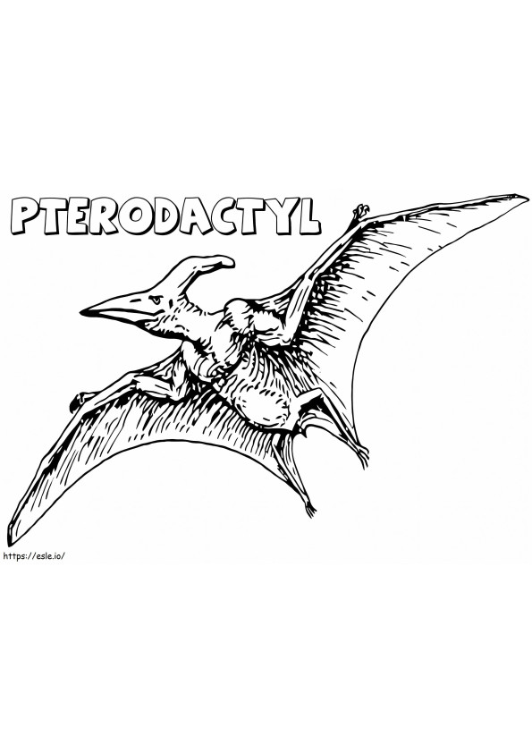Realistic Pterodactyl coloring page