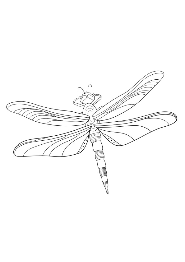 Flying Dragonfly for free printing and downloading picture