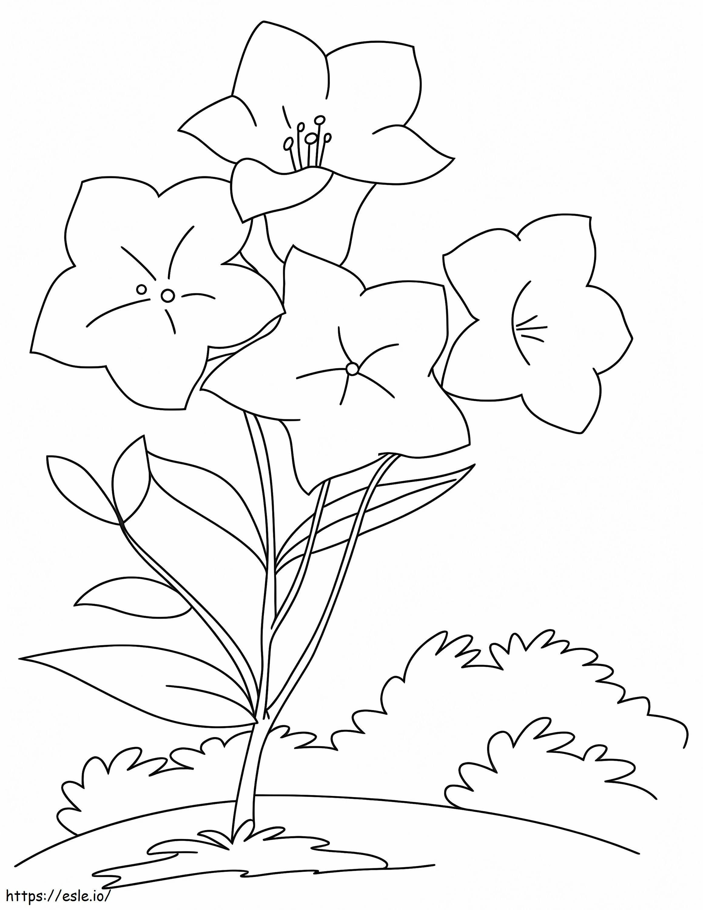 Flores de campânula 5 para colorir