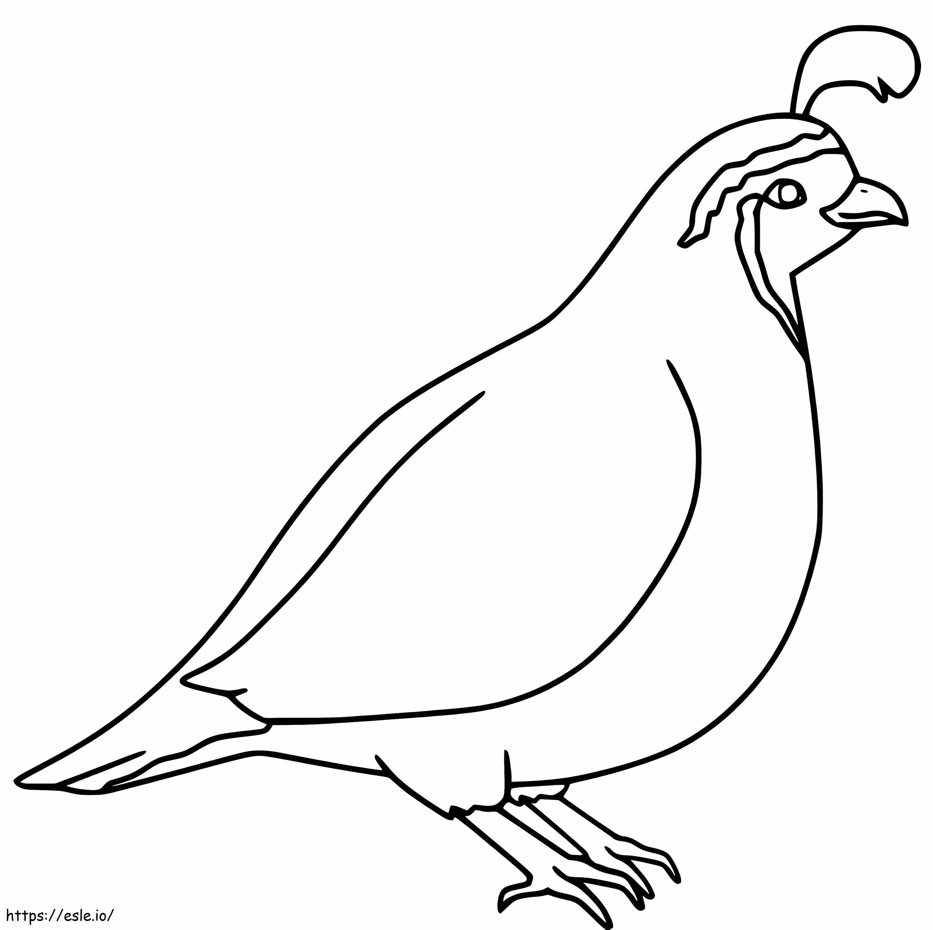 Free Quail coloring page