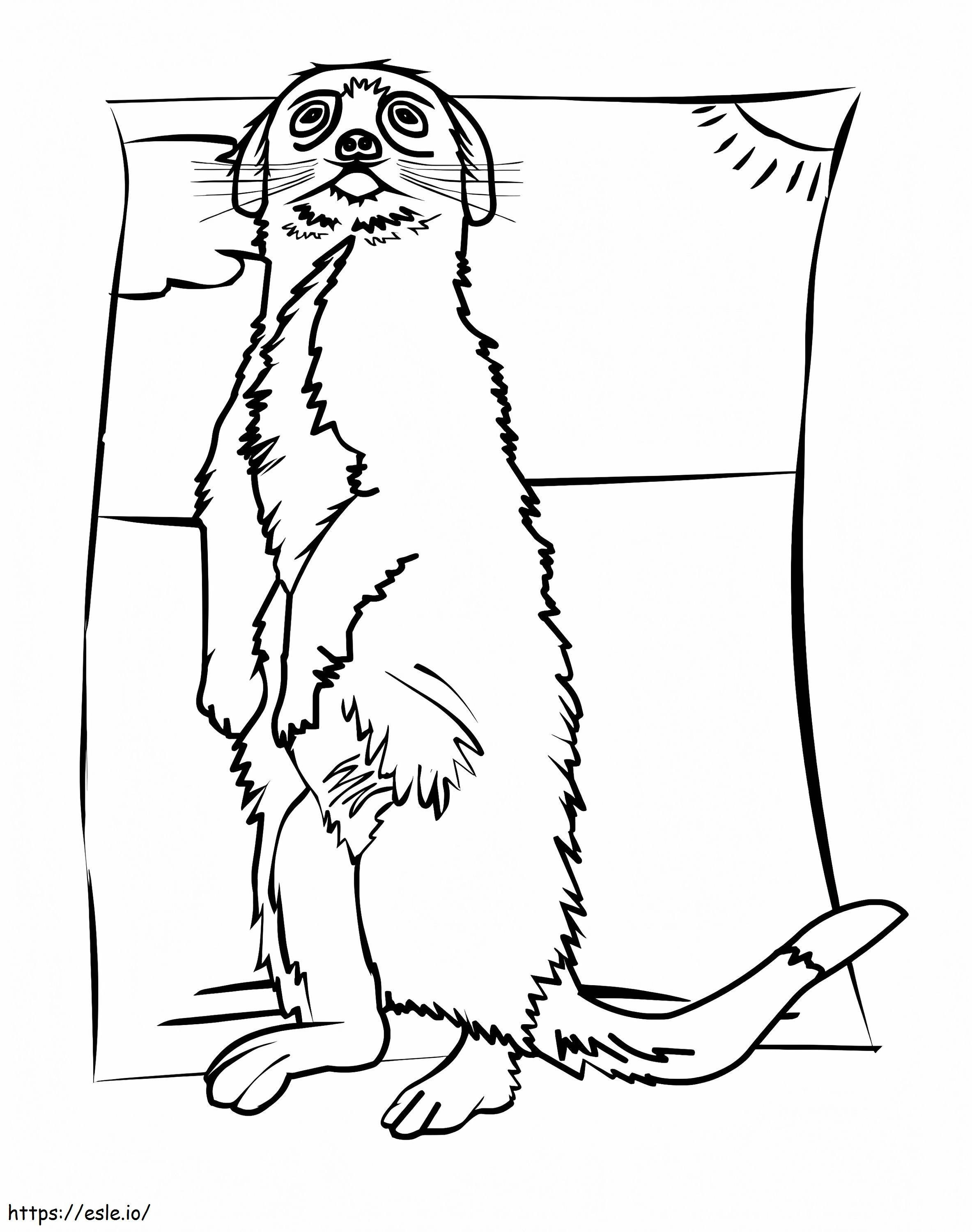 Nice Meerkat coloring page