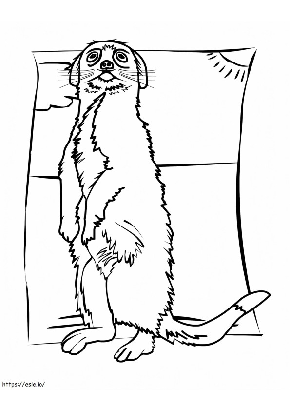 Coloriage Joli suricate à imprimer dessin