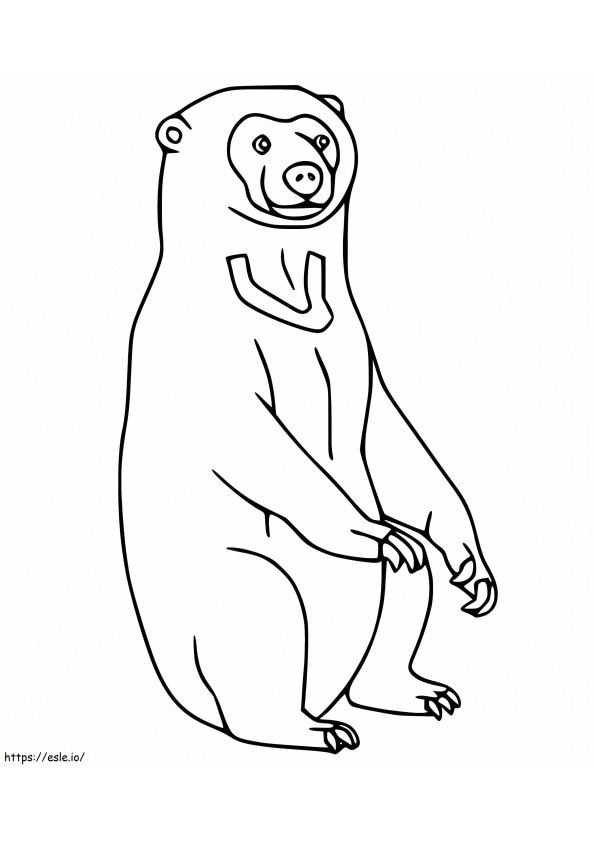 Beruang Madu yang Dapat Dicetak Gambar Mewarnai