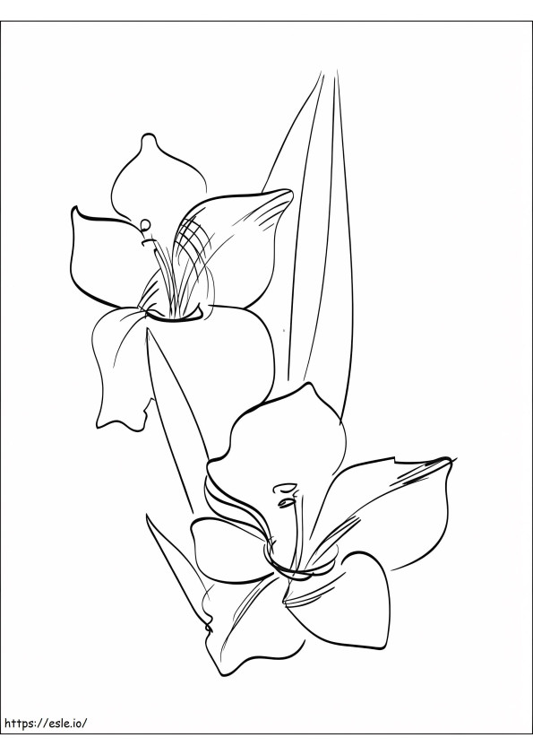 Coloriage Fleurs de glaïeul 14 à imprimer dessin
