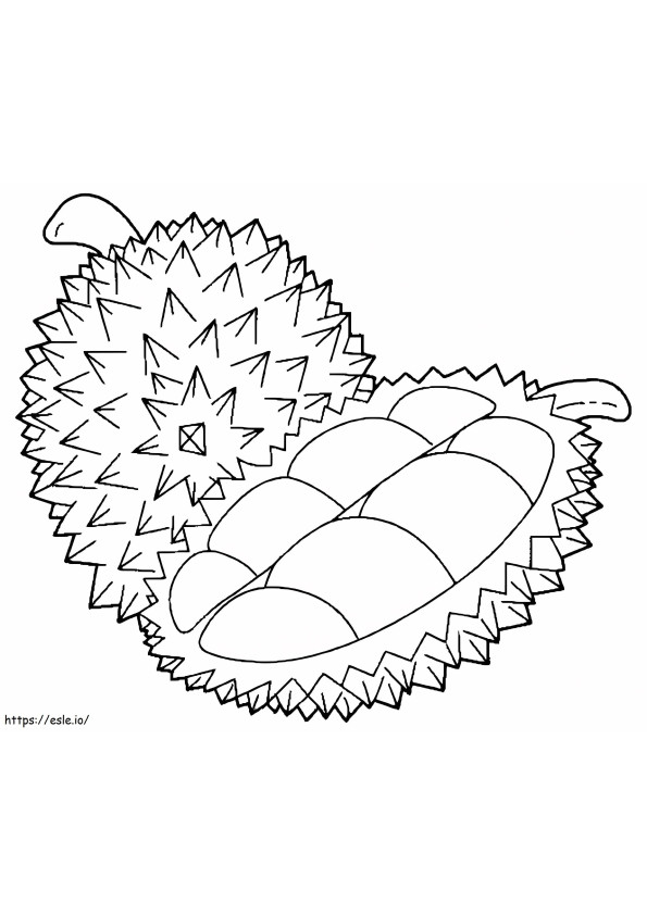 Plain Durian And Half Durian coloring page