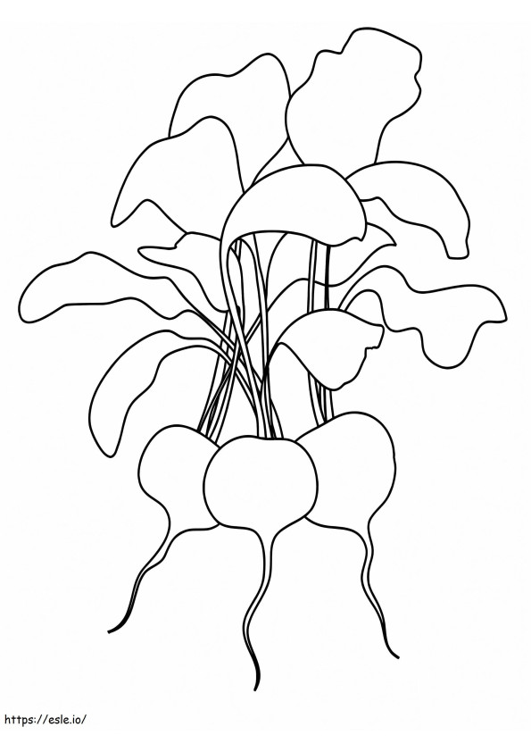 Three Red Radishes coloring page