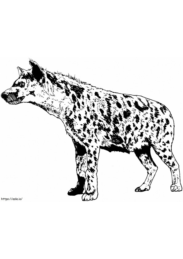 Realistic Spotted Hyena coloring page