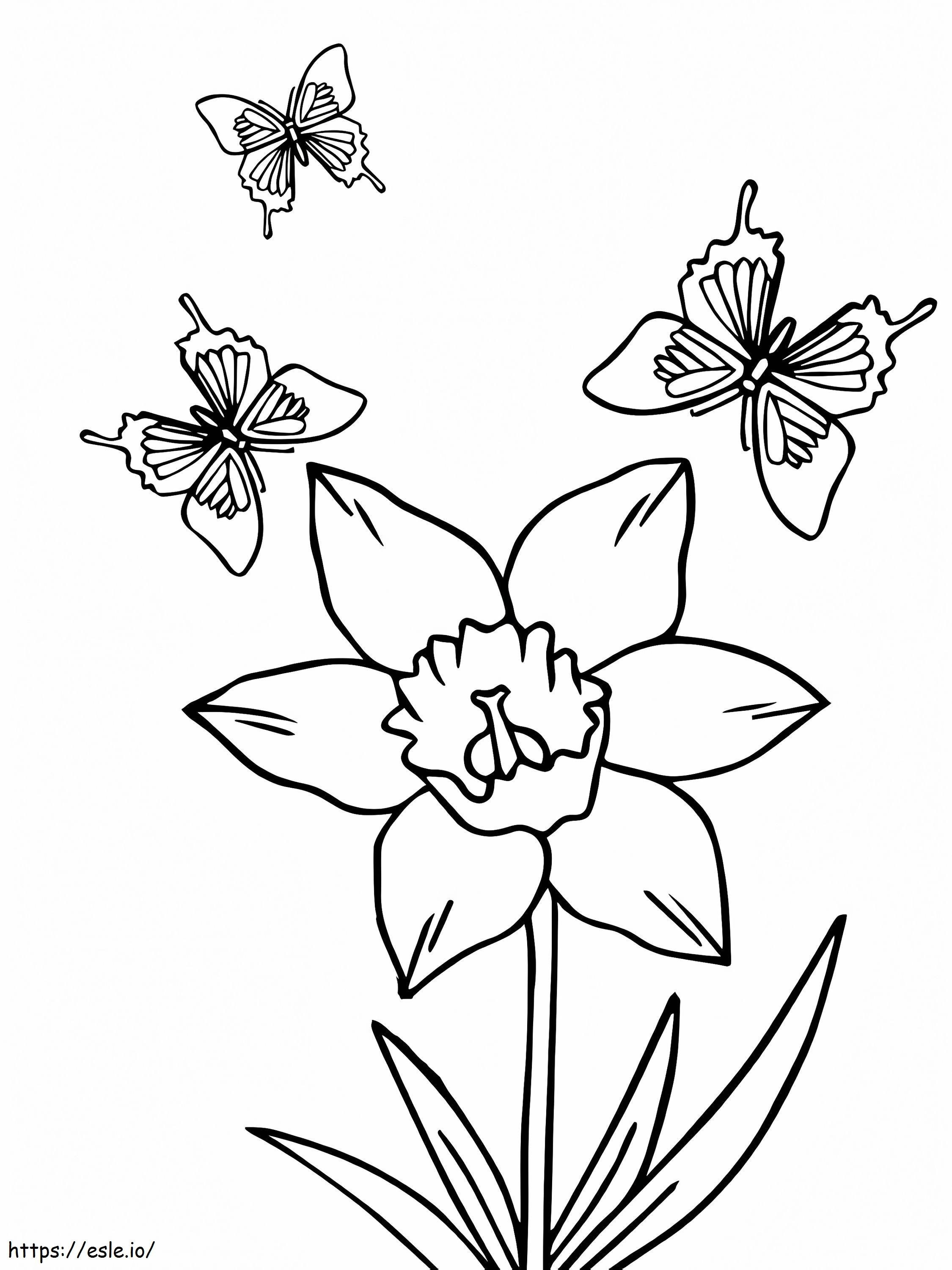 Kolme perhosta ja narsissin kukka värityskuva