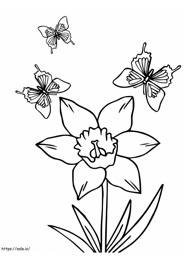 Trei fluturi și floare de narcise de colorat