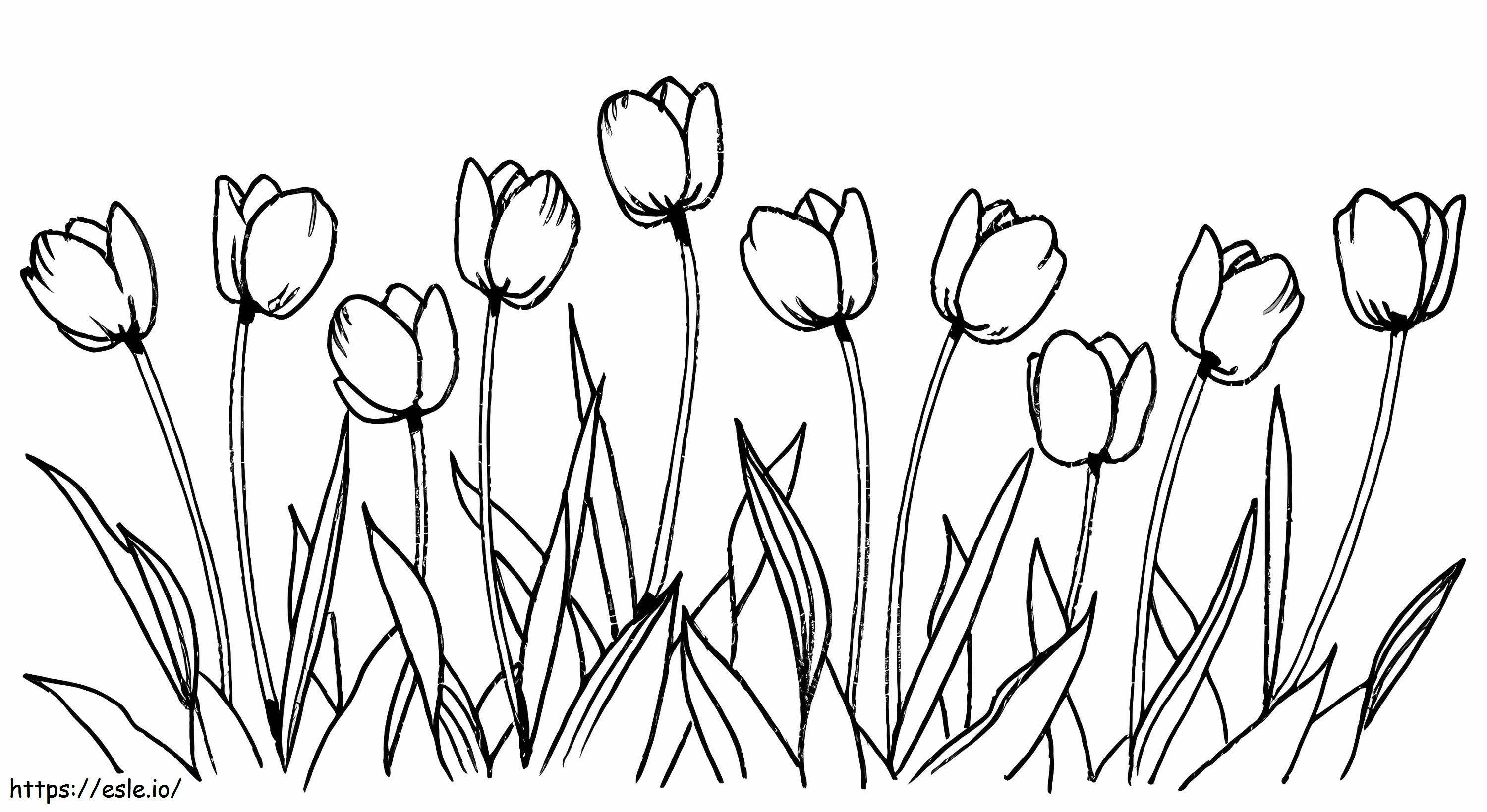 tulipán grande para colorear