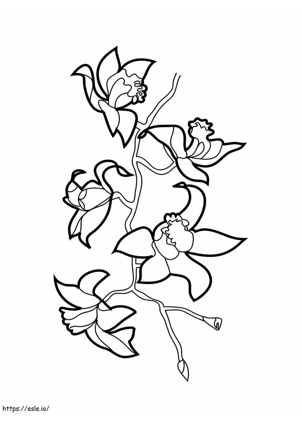 Orchid Flower Free Printable coloring page