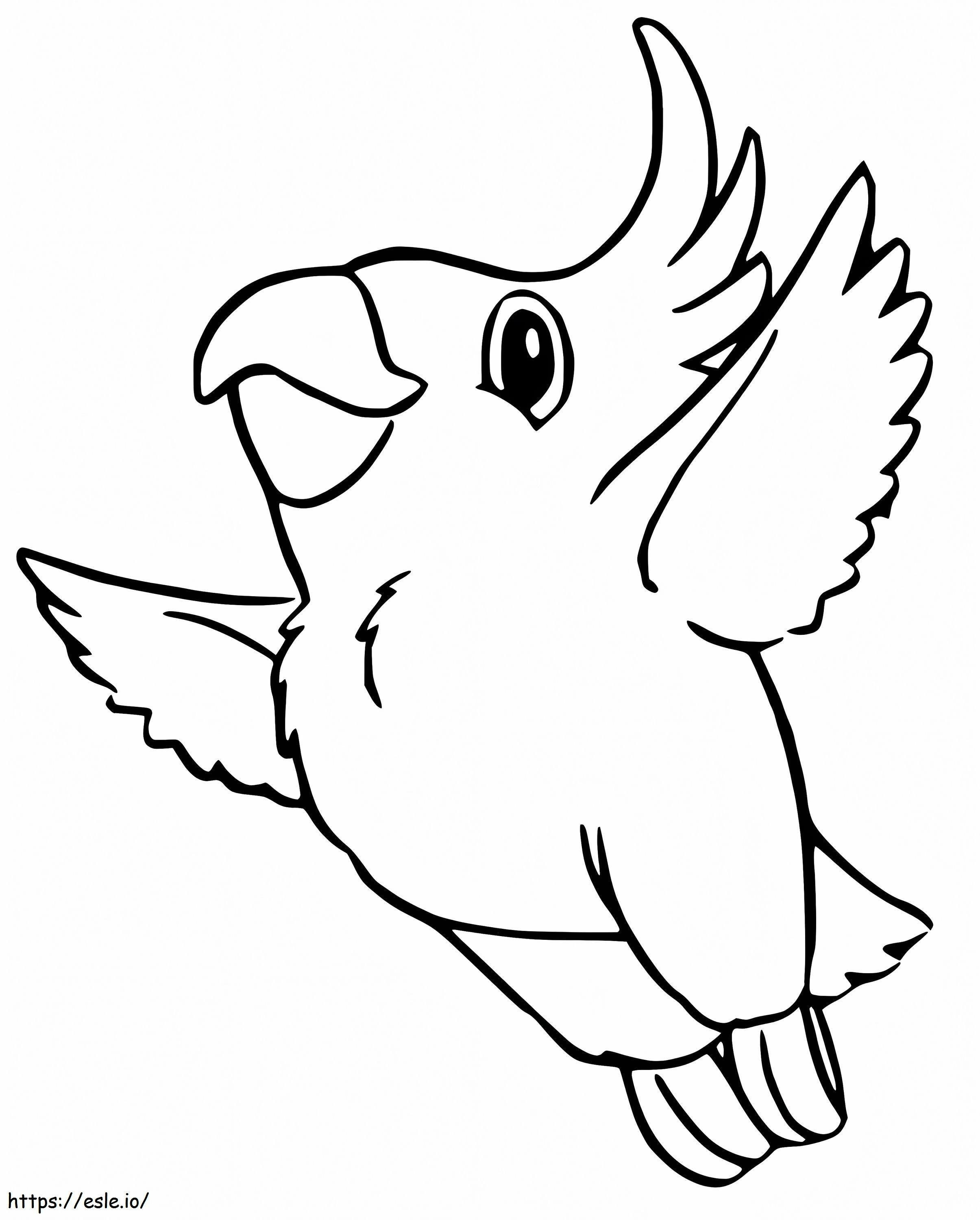 Baby Cockatiel coloring page