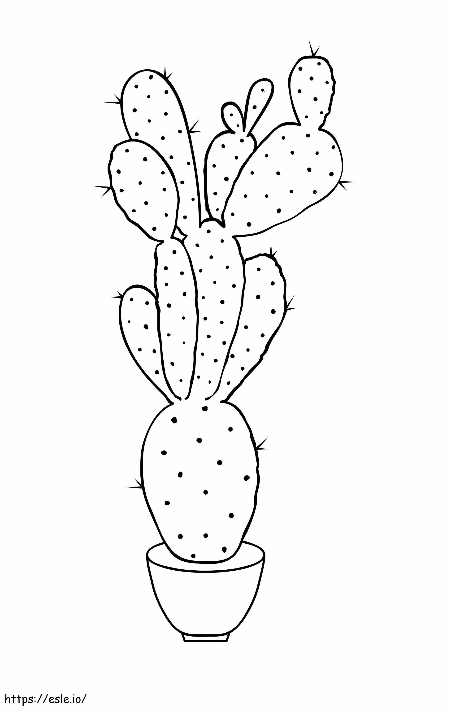 Coloriage Cactus gratuit à imprimer dessin