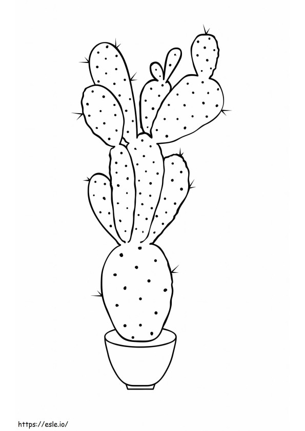 Bezpłatny kaktus kolorowanka
