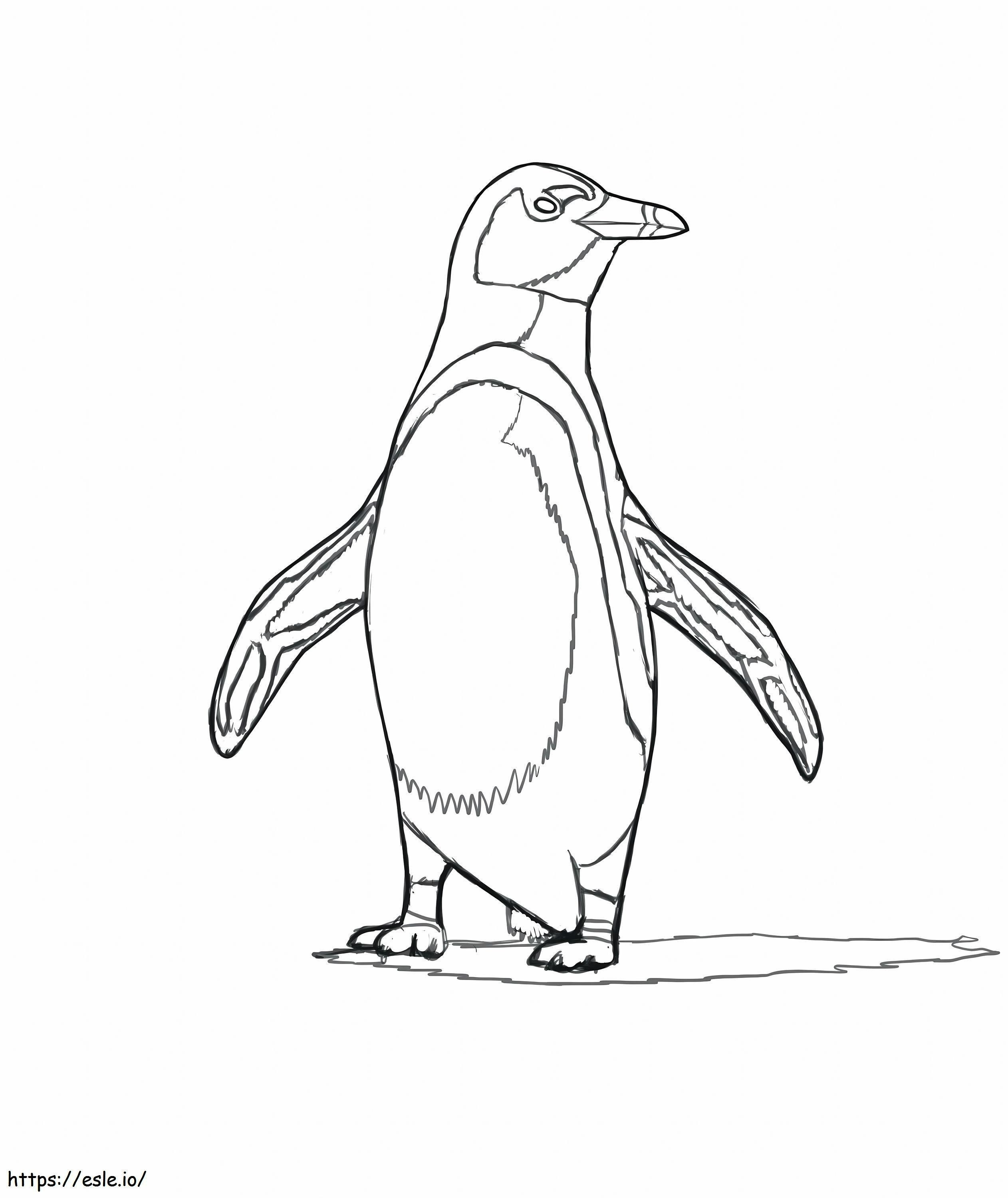 Afrikkalainen pingviini värityskuva
