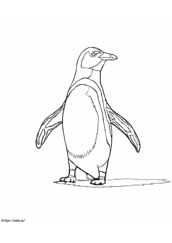 Afrikkalainen pingviini värityskuva