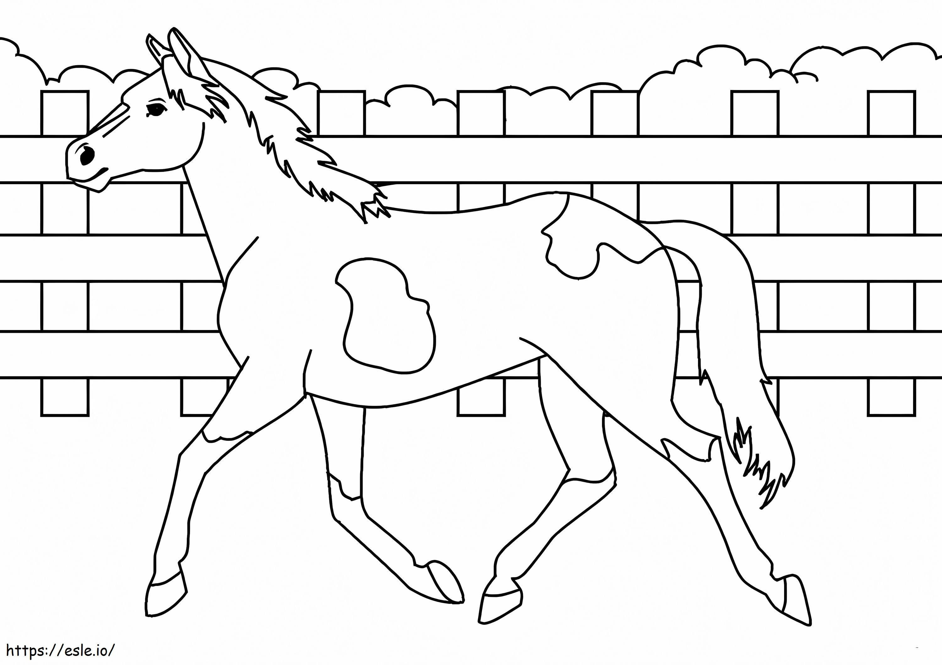 Hevonen tulostamiseen värityskuva